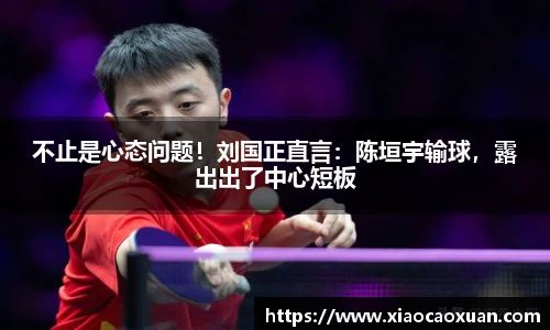 不止是心态问题！刘国正直言：陈垣宇输球，露出出了中心短板